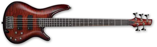 SR405QM 5-String - Charcoal Brown Burst
